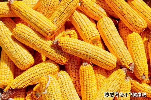 玉米面是粗糧還是細(xì)糧？營(yíng)養(yǎng)師提醒 糖尿病人吃玉米面，別犯三個(gè)錯(cuò)