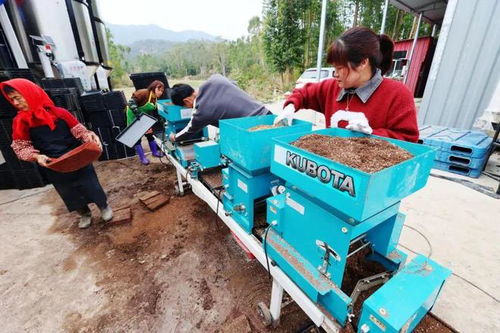 守好“飯碗田”，穩(wěn)住“米袋子”——南安市多措并舉提升糧油倉儲(chǔ)服務(wù)水平
