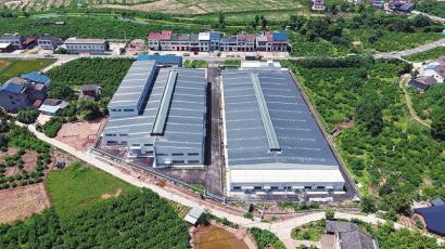 農(nóng)業(yè)“四中心”投用，精準(zhǔn)服務(wù)萬畝糧田，筑牢糧油倉儲(chǔ)服務(wù)新基石